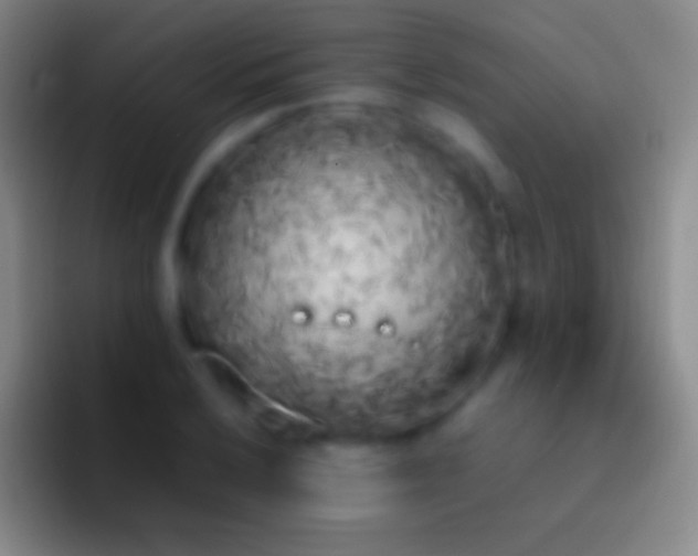 X0000092331032200709211303