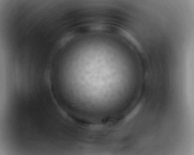 X0000092331033200709211303