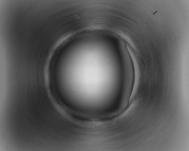X0000092331034200709211303