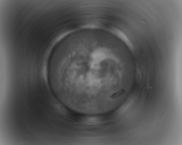 X0000092331035200709211303