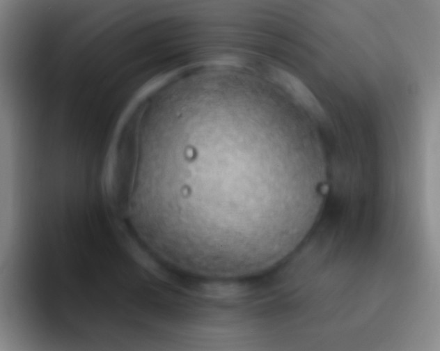X0000092331036200709211303