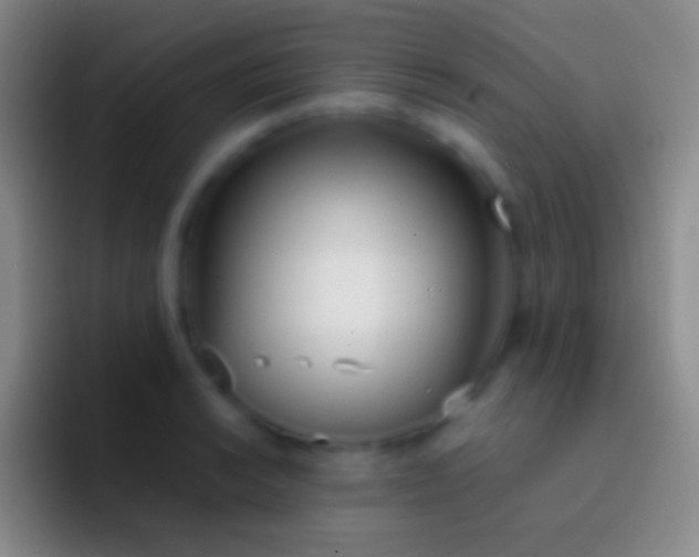 X0000092331038200709211303