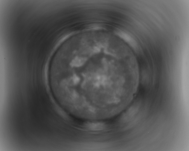 X0000092331039200709211303