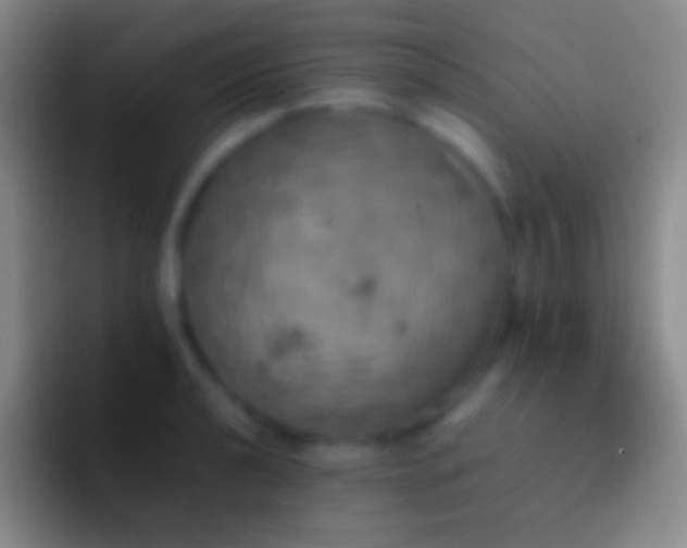 X0000092331040200709211303
