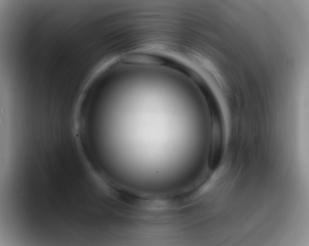 X0000092331042200709211304