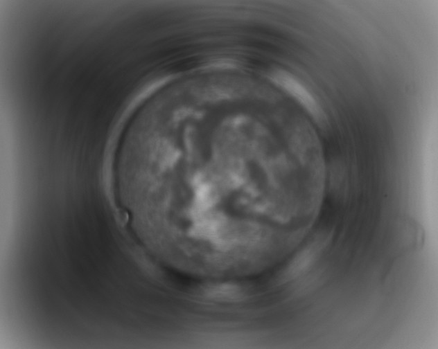 X0000092331043200709211304