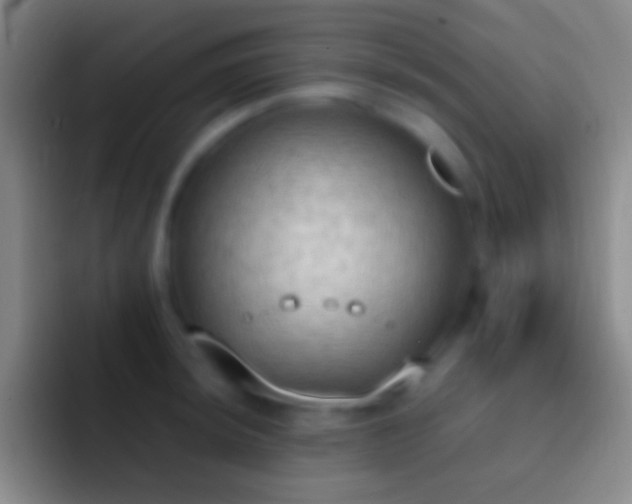 X0000092331044200709211304