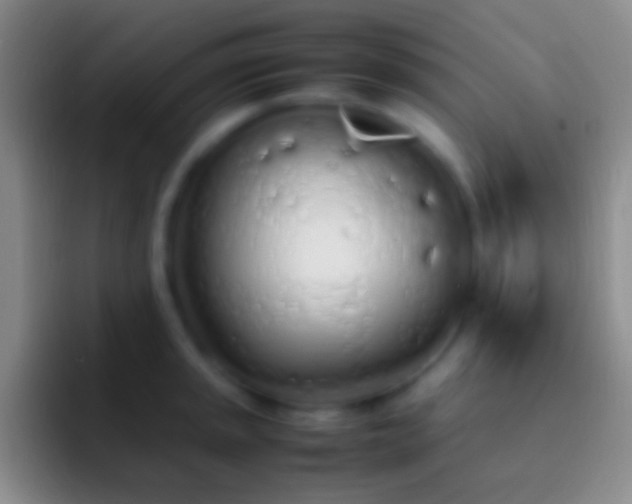 X0000092331045200709211304
