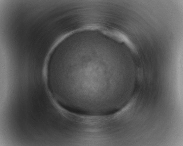 X0000092331046200709211304