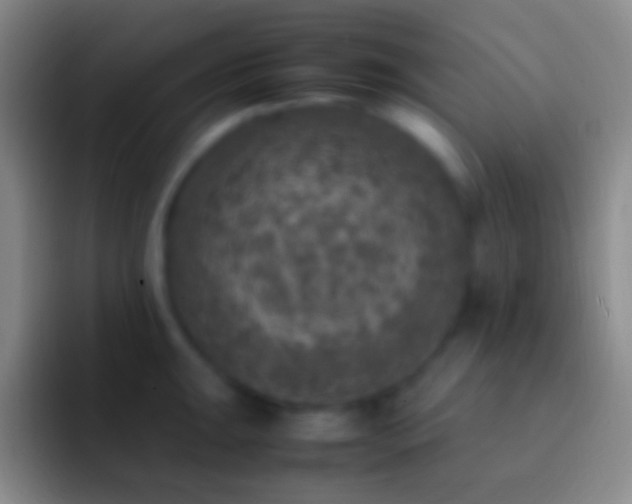 X0000092331047200709211304