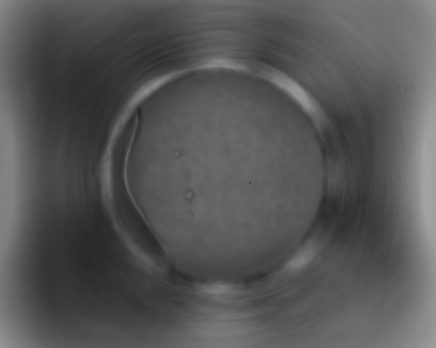 X0000092331048200709211304
