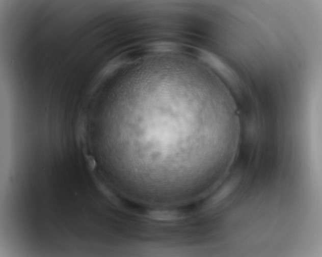 X0000092331049200709211304