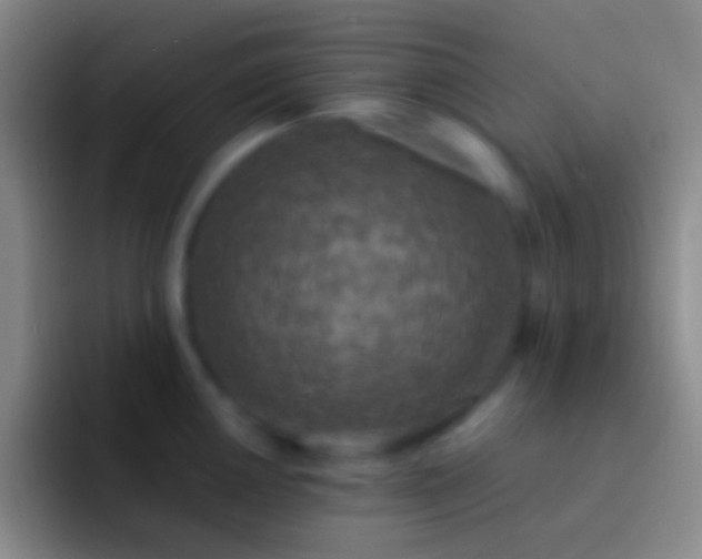 X0000092331050200709211304
