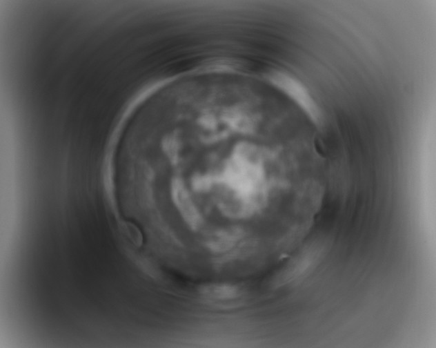 X0000092331051200709211304
