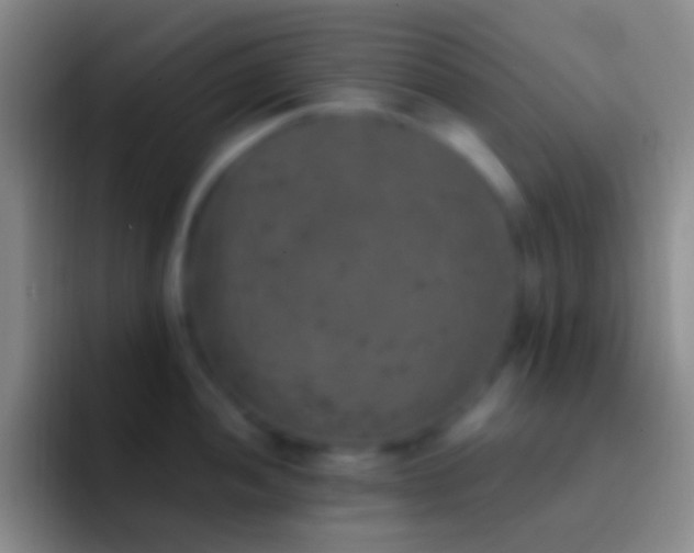X0000092331052200709211304