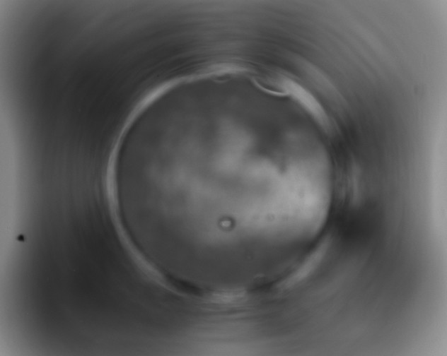 X0000092331055200709211304
