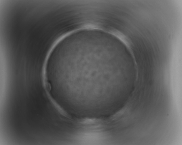 X0000092331056200709211304