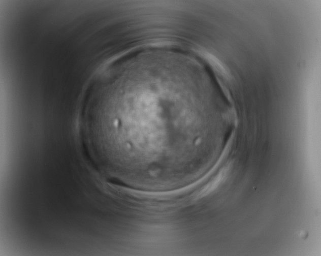 X0000092331065200709211303