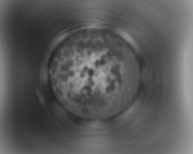 X0000092331067200709211303