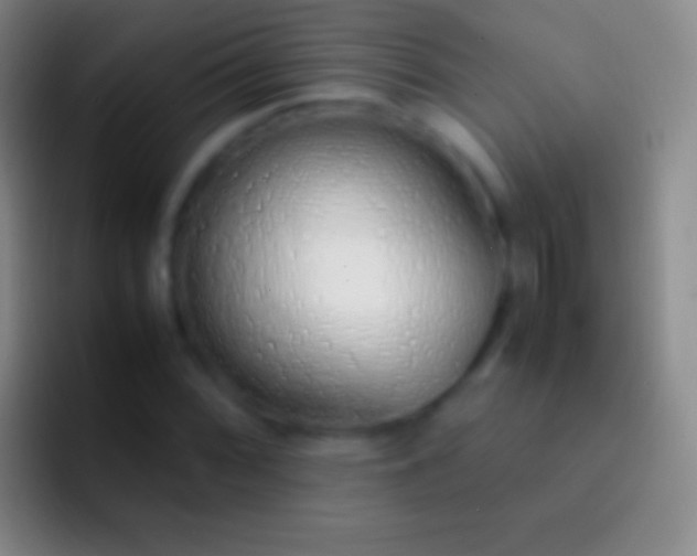 X0000092331068200709211303