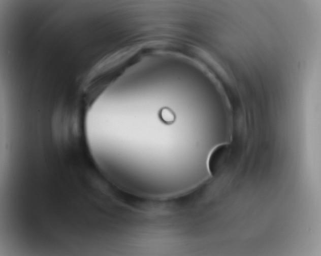 X0000092331069200709211303