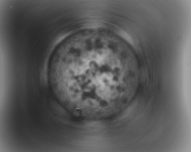 X0000092331071200709211303