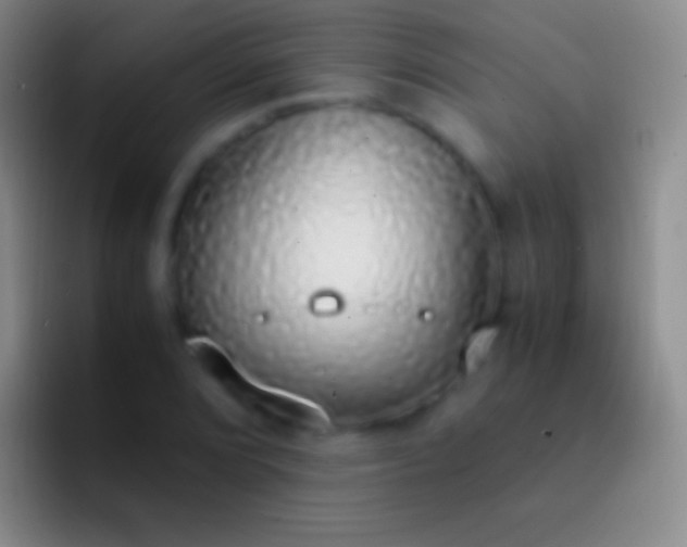 X0000092331072200709211303