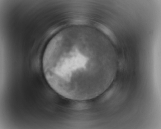 X0000092331074200709211303