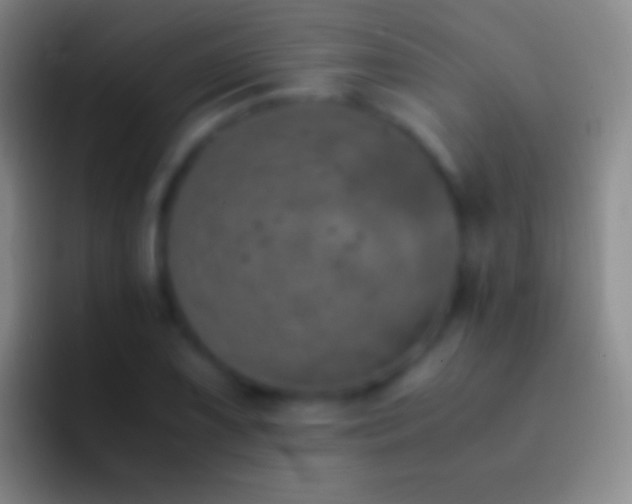 X0000092331075200709211303