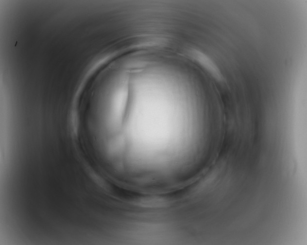 X0000092331079200709211303