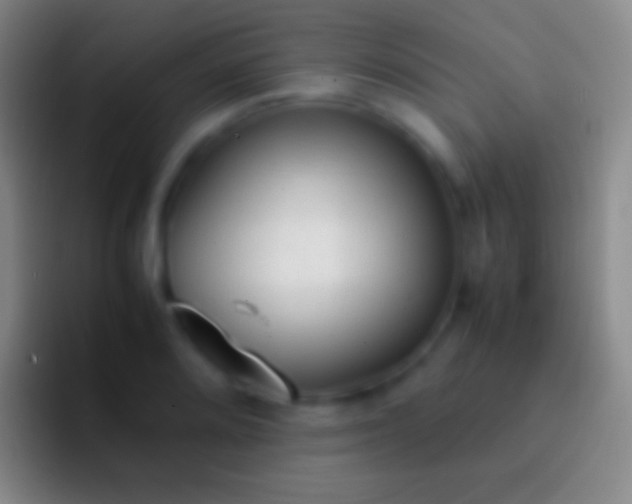 X0000092331080200709211303