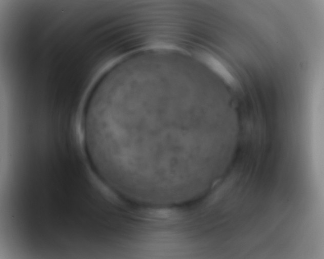 X0000092331084200709211303