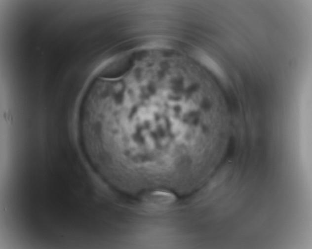 X0000092331087200709211303
