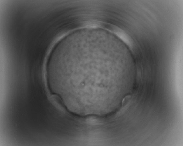 X0000092331088200709211303