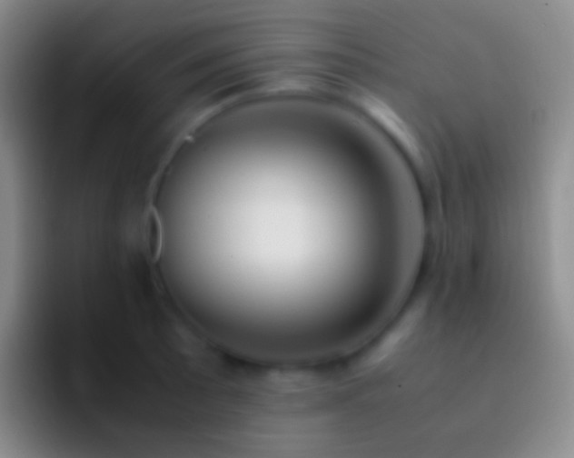 X0000092331089200709211303