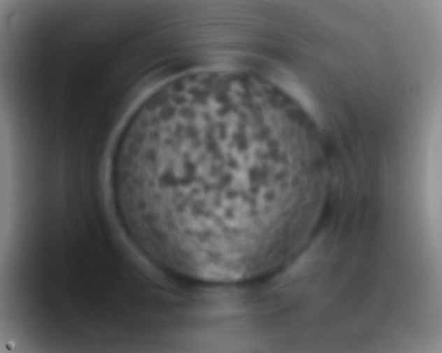 X0000092331091200709211303