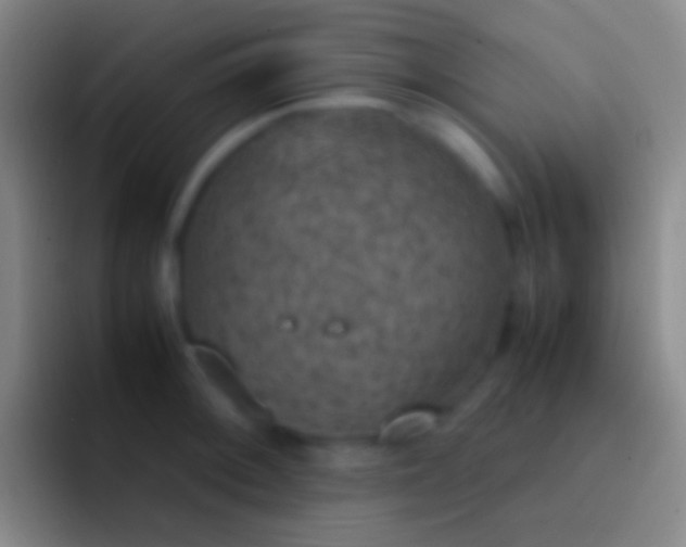 X0000092331092200709211303