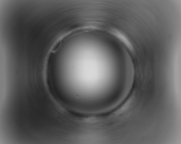 X0000092331093200709211303