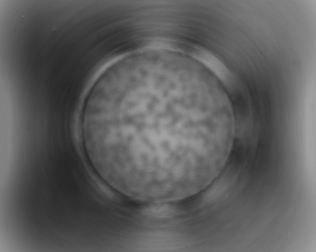 X0000092331094200709211303
