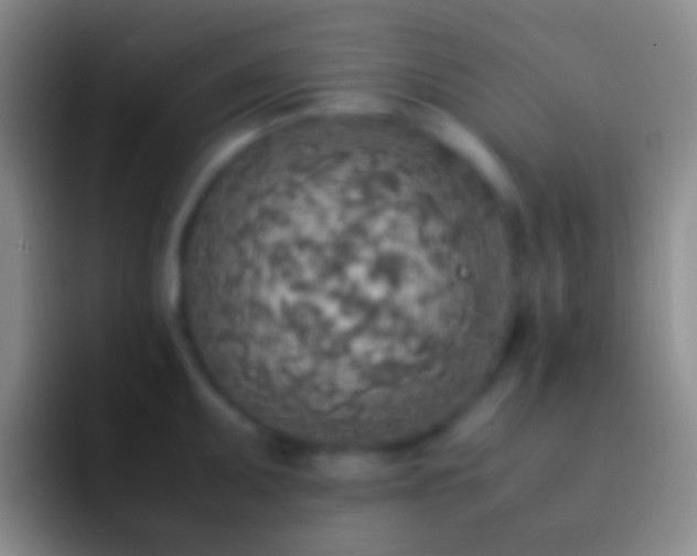X0000092331095200709211303