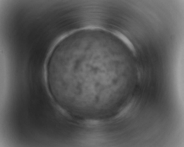 X0000092331096200709211303
