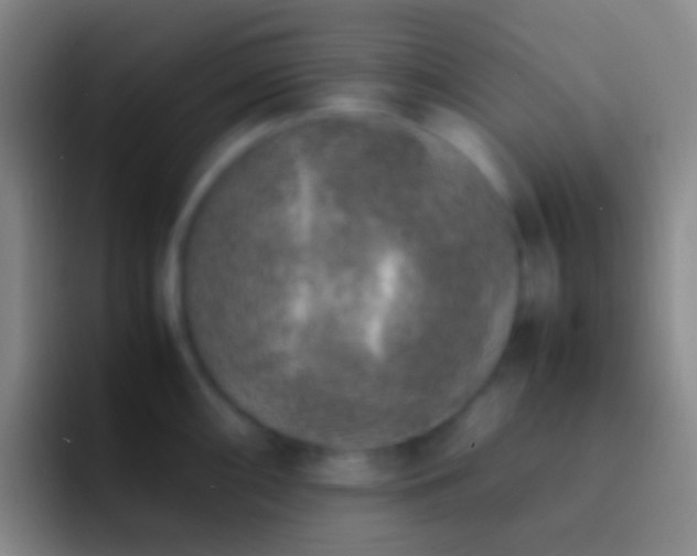 X0000092331098200709211303