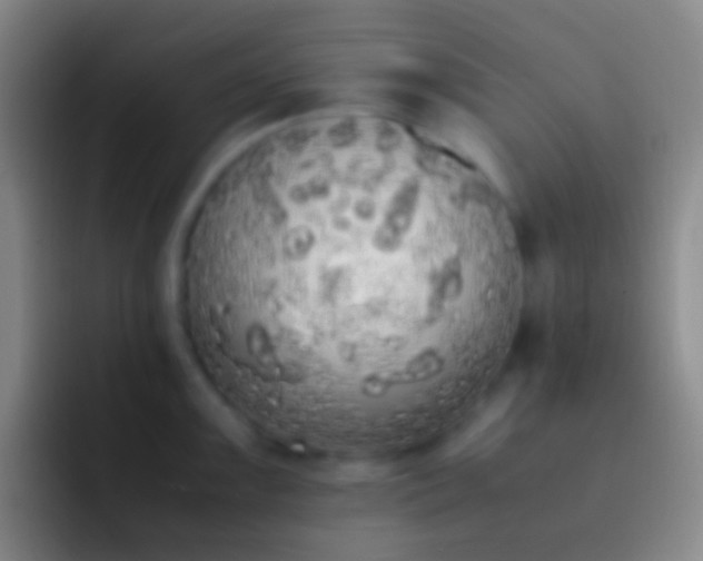 X0000092331099200709211303