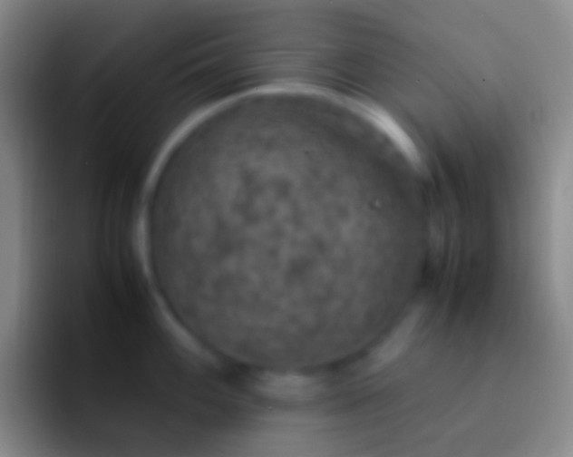X0000092331100200709211303
