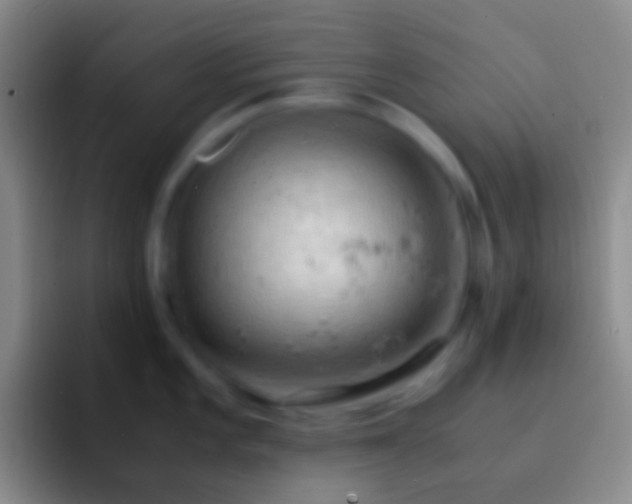 X0000092331101200709211303