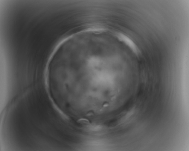 X0000092331103200709211303