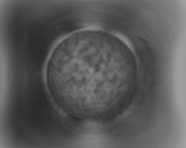 X0000092331104200709211303