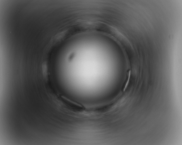 X0000092331108200709211302