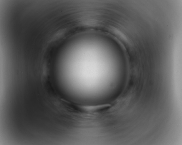 X0000092331110200709211302