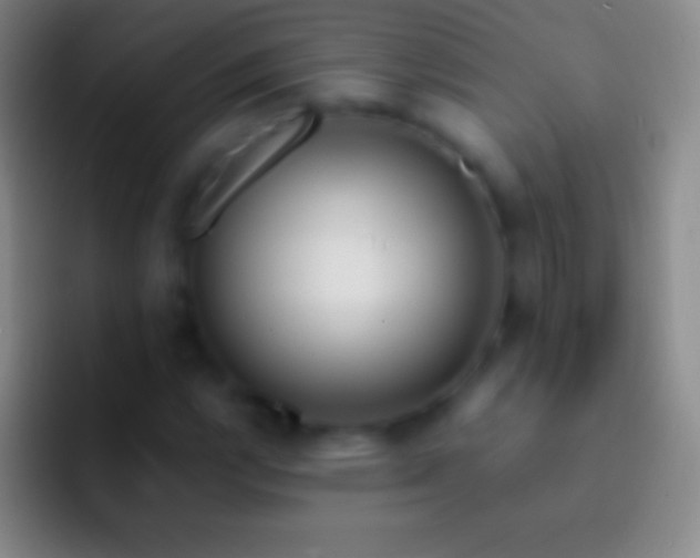 X0000092331112200709211302
